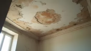 Koszt naprawy sufitu po zalaniu Częstochowa