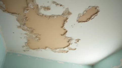 Koszt naprawy sufitu po zalaniu Radom
