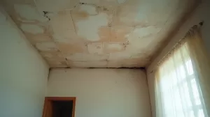 Koszt naprawy sufitu po zalaniu Toruń