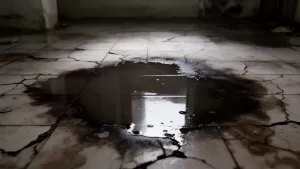 Osuszanie posadzki po zalaniu cena