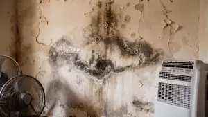 Osuszanie ścian po zalaniu cennik
